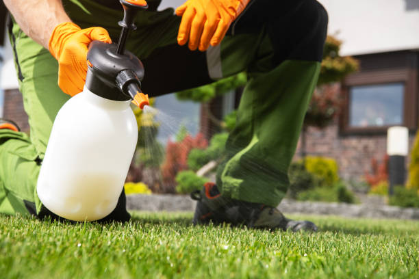 Best Exterminator Services  in Seattle, WA