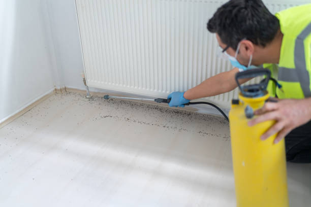 Pest Control for Restaurants in Seattle, WA